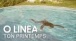 O Linea - Ton printemps (LYRICS VIDO OFFICIEL)