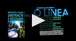 O Linea - 4ème teaser de l'album "Distractions" (Ta plus belle extorsion)