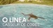O Linea - Casseur de codes (Radio edit - Lyrics video officiel)