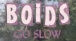 BOIDS - Go Slow (Official Video)