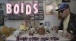 BOIDS - Make Your Own Fun (Official Video)