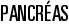 Pancréas