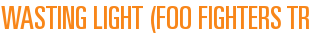 Wasting Light (Foo Fighters Tribute)