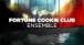 Fortune Cookie Club - Ensemble (Avec ?milie Plamondon) (Lyrics Video)