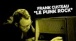 Frank Custeau - Le Punk Rock (Lyrics vidéo)