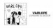 Varlope - L'envers du d?cor ( Lyrics Vid?o )