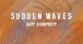 Sudden Waves - Got Soaped? ( Lyrics Video)