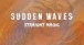 Sudden Waves - Straight Magic (Lyrics Video)