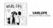 Varlope - Niveler par le bas ( Lyrics Video )