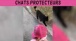 Chats qui suivent une petite fille partout