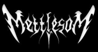 MettlesoM