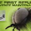 5 cent refund : the first refund