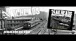 The Nailheads - Live to See Tomorrow: New Album Out Now