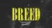 Nirvana - "Breed" (Cover by Boundaries)