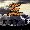 Fight Like Swayze : Pain Don't Hurt