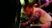 BRUTAL YOUTH - Whiteway @ Pouzza Fest 8 - Montral QC - 2018-05-19
