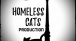 Homeless Cats Production