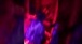 only clip from traxide #livemusic #traxide